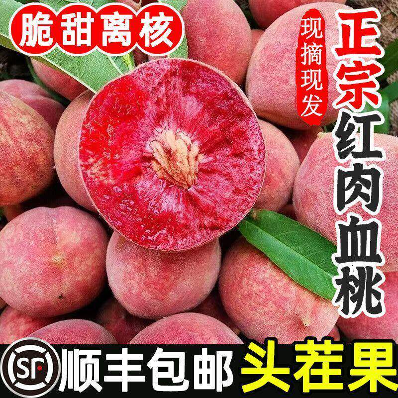 老树血桃新鲜桃子脆甜红