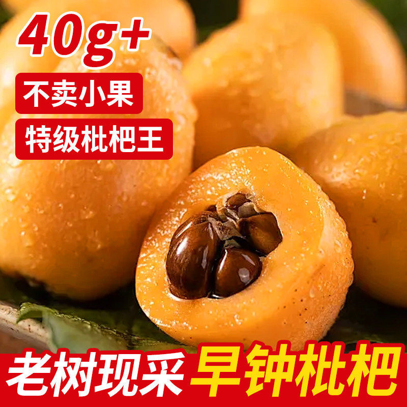 枇杷鲜果新鲜当季水果整箱礼盒现摘特级大琵琶果正宗福清早钟枇杷