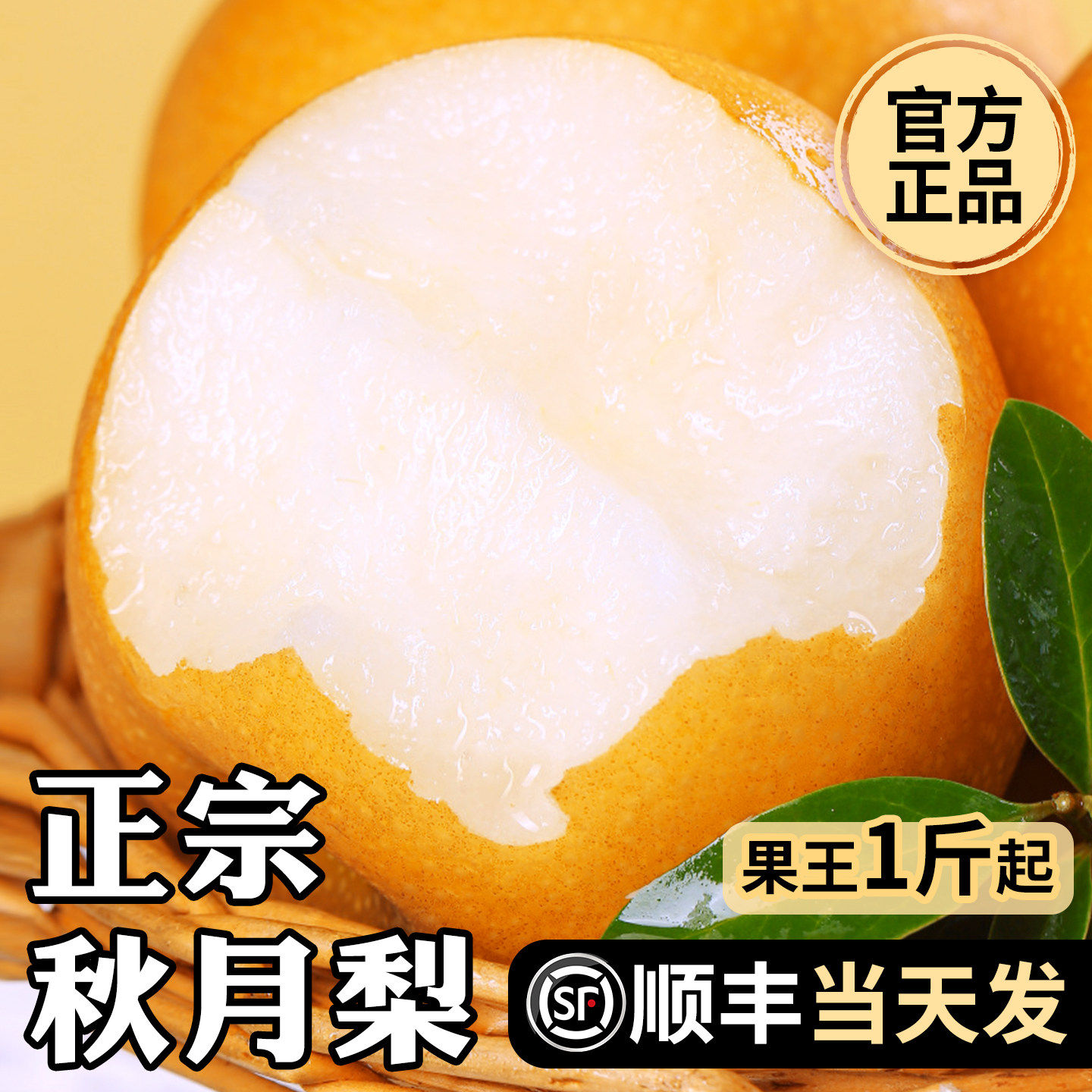 秋月梨新鲜梨子水果正宗