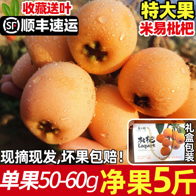 枇杷大五星四川当季新鲜特甜琵琶现摘孕妇水果攀枝花米易礼盒5斤