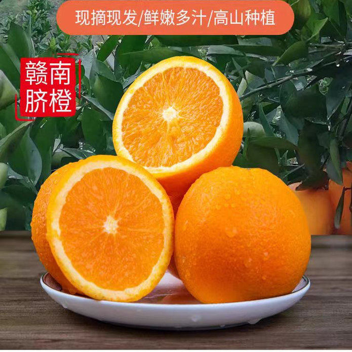 江西正宗赣南脐橙新鲜采摘寻乌产地直发10斤装带箱包邮应季水果