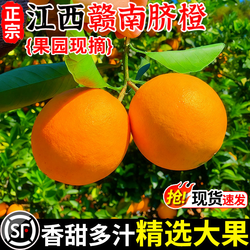 江西赣南脐橙10斤应当季水果橙子手剥果冻橙子冰糖新鲜甜橙大果9