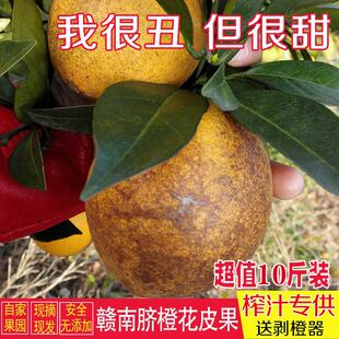 正宗赣南脐橙江西安远信丰寻乌榨汁丑橙子花皮果20斤新鲜水果包邮