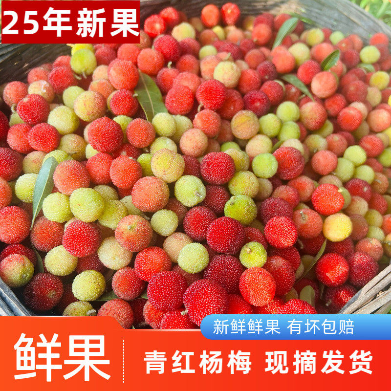 青红杨梅冰冻泡酒专用10斤小山杨梅贵州新鲜冰冻野杨梅酸扬梅洋梅