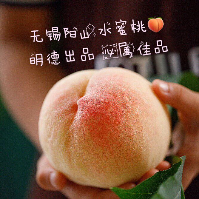 正宗无锡阳山水蜜桃新鲜