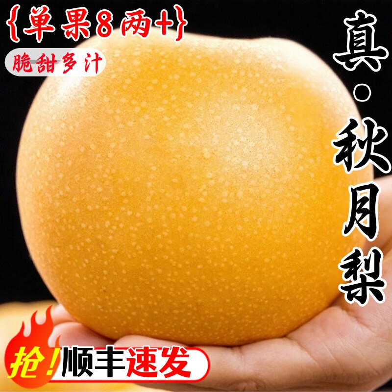 正宗山东秋月梨新鲜梨子