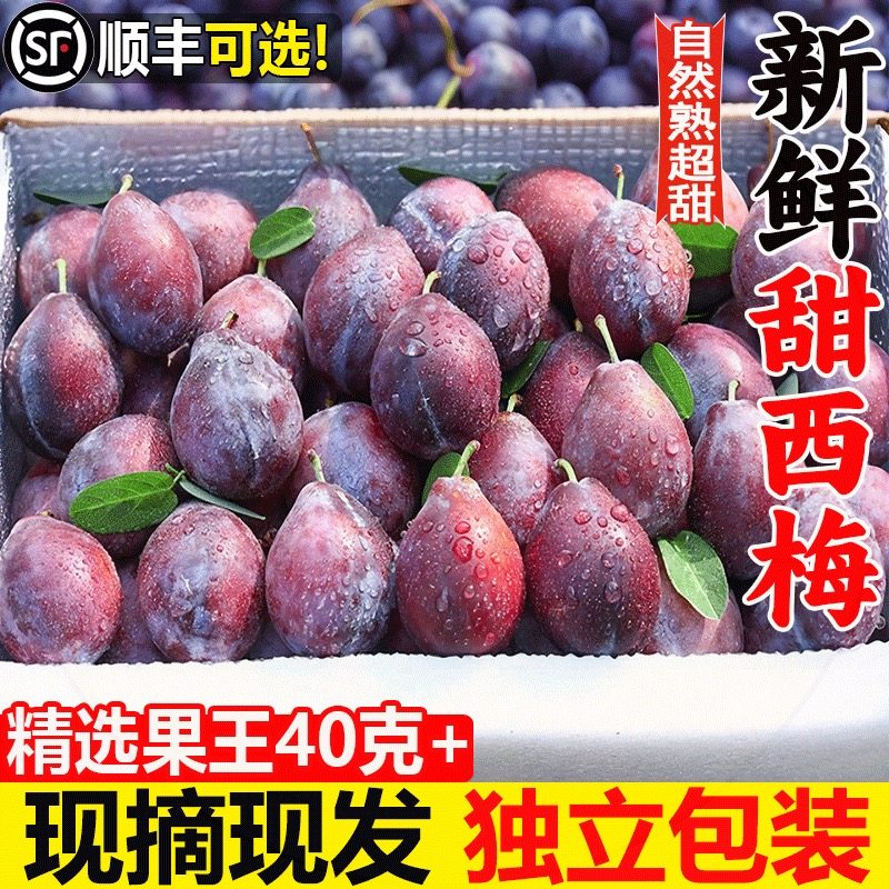 正宗西梅新鲜5斤装法兰西脆甜李子水果当季整箱应季孕妇顺丰包邮3