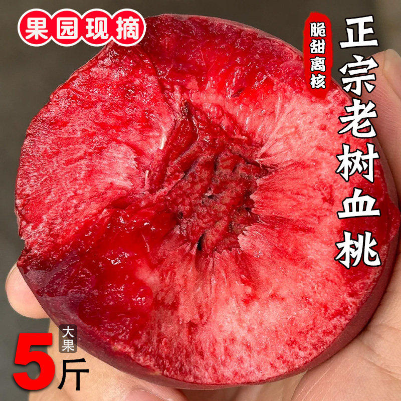 紫肉血桃5斤红心桃子新鲜