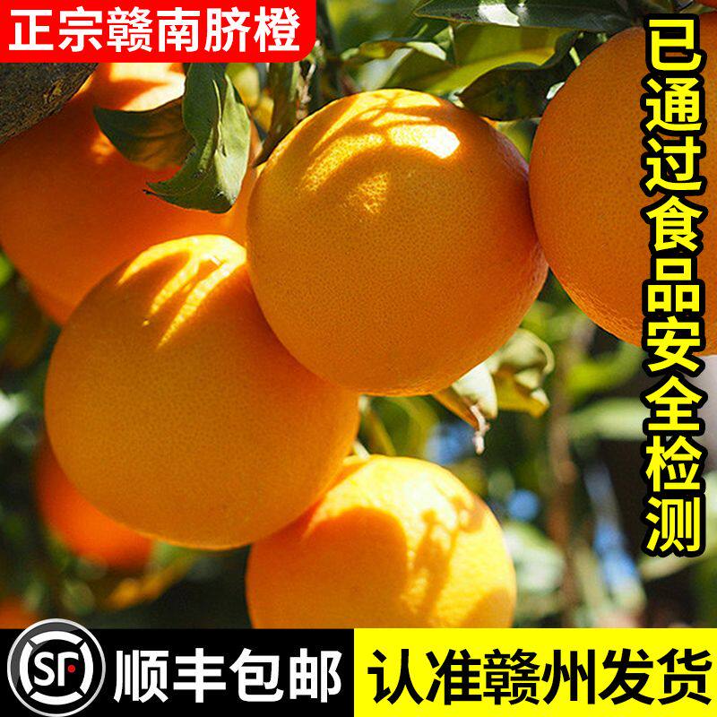 正宗江西赣南脐橙薄皮新鲜10斤装水果赣州产地直发手剥橙子超甜
