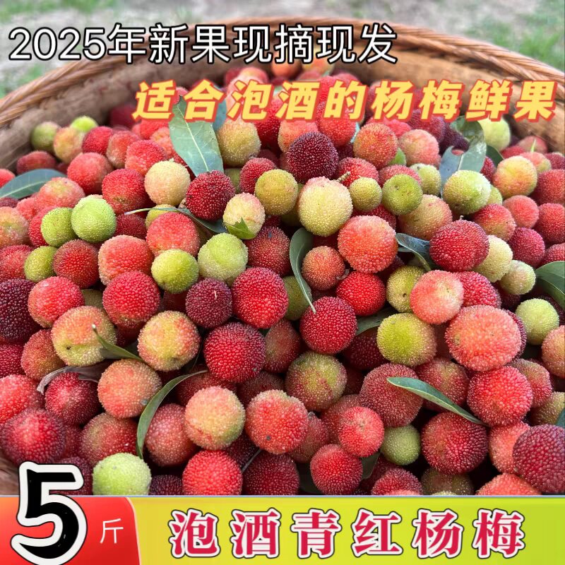 贵州野生杨梅深山杨梅新鲜现摘现发泡酒青红杨梅孕妇水果包邮