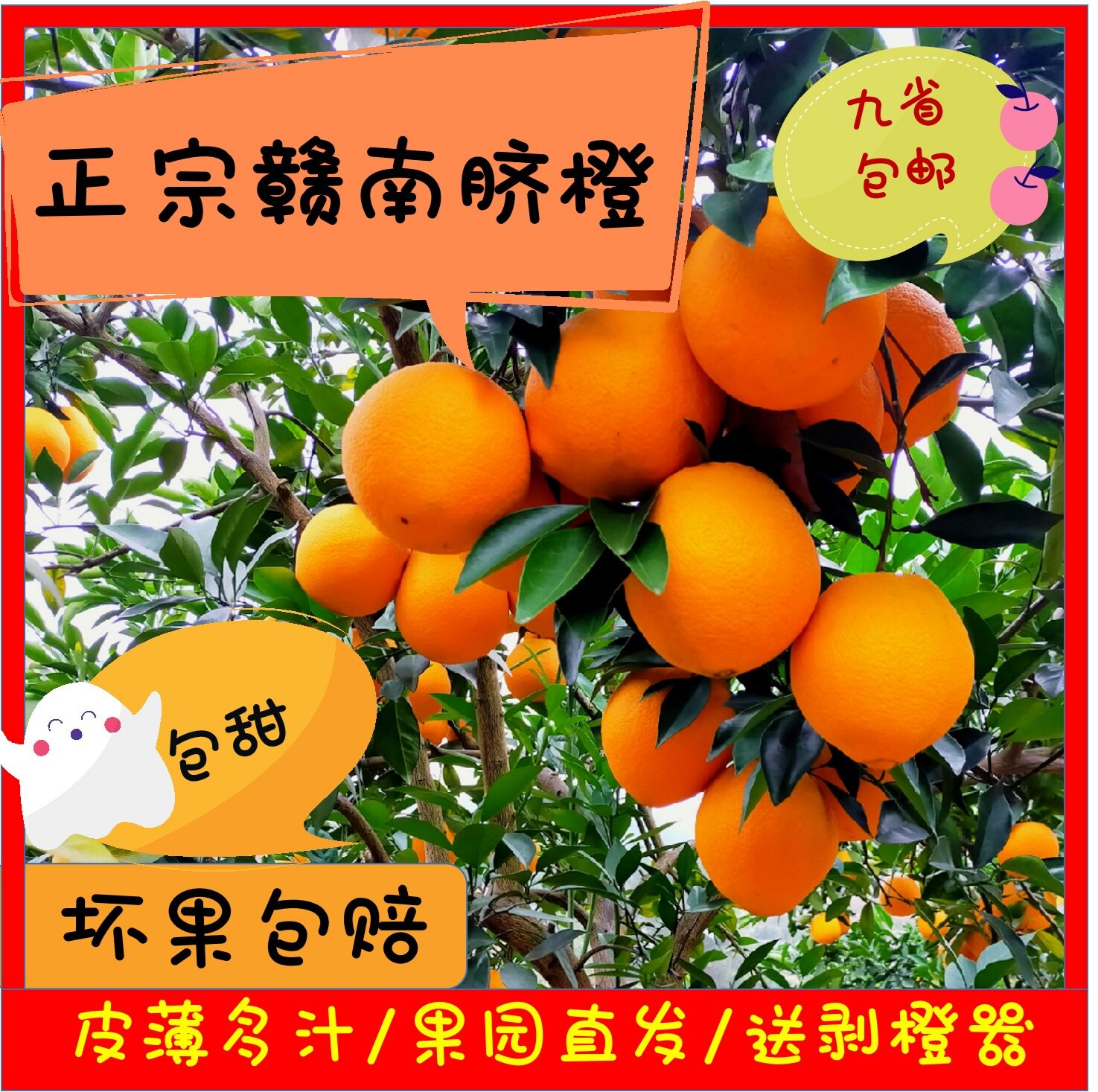 5斤10斤正宗江西赣州赣南脐橙果园自销孕妇水果新鲜当季产地直发
