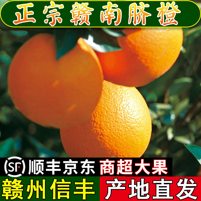 正宗赣南脐橙新鲜橙子江西赣州信丰安西应季水果10斤整箱产地直发