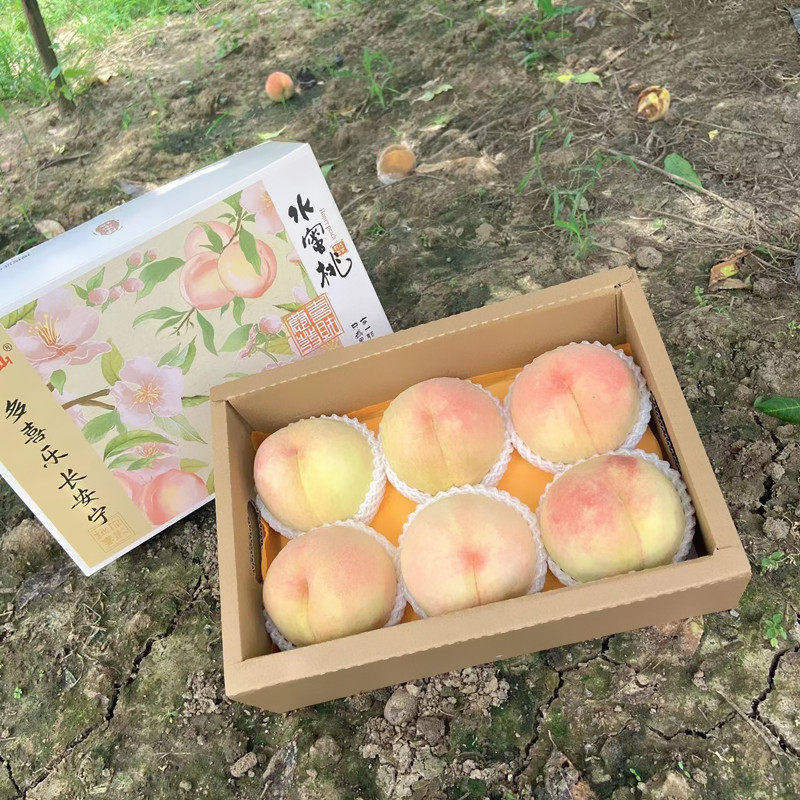 正宗无锡阳山水蜜桃水果7