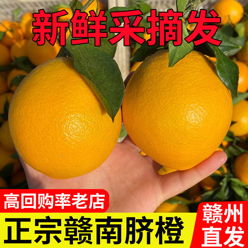 橙子赣南脐橙10斤新鲜现摘江西赣州安远手剥迷你甜橙小果特大包邮