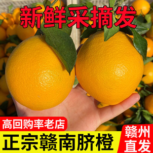 橙子赣南脐橙10斤新鲜现摘江西赣州安远手剥迷你甜橙小果特大包邮