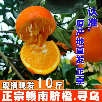 正宗江西赣南脐橙10斤赣州寻乌甜橙子当季新鲜孕妇水果手剥包邮20