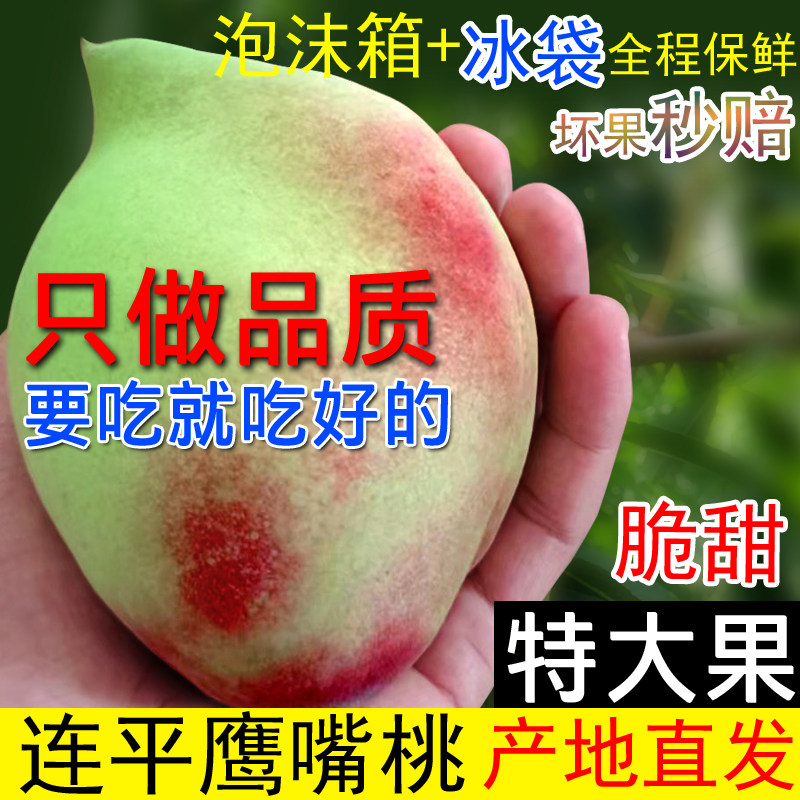特大正宗连平上坪鹰嘴桃脆 现摘河源水蜜桃新鲜水果尖嘴桃子5 8斤