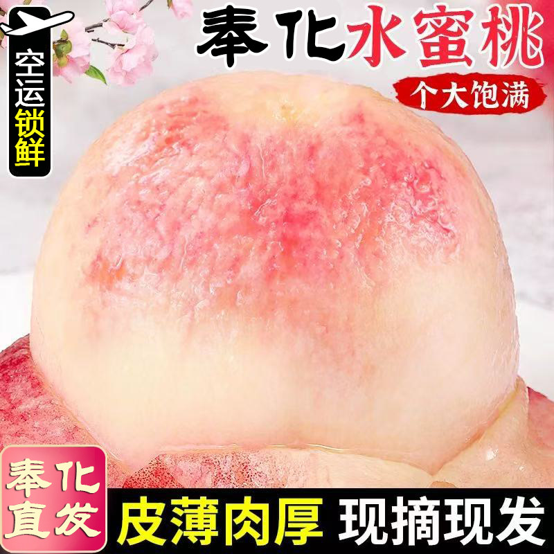 正宗宁波奉化水蜜桃现摘纯甜多汁湖景玉露白凤新鲜桃子水果当季