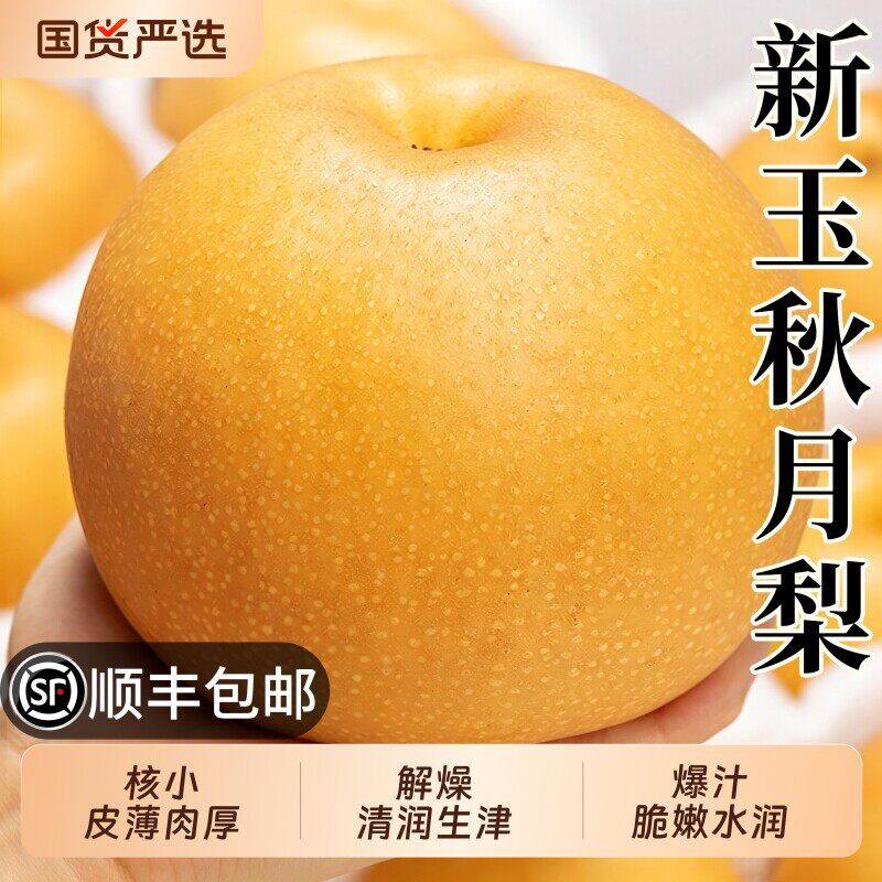 正宗冰糖秋月梨蜜梨当季