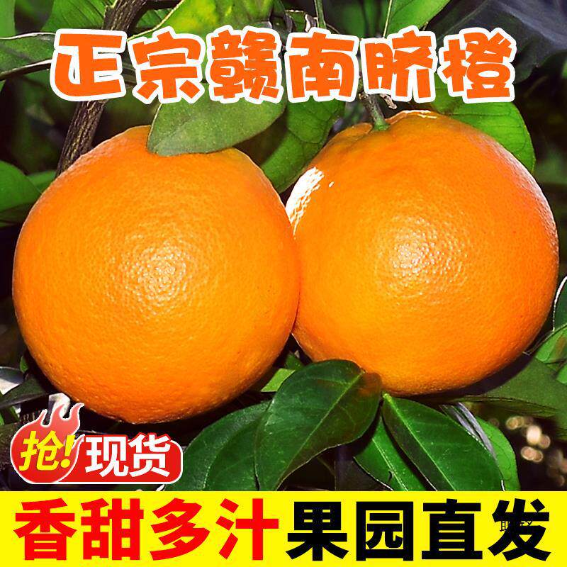 正宗江西赣南脐橙新鲜水果整箱10斤橙子当季冰糖果冻橙甜榨汁专用