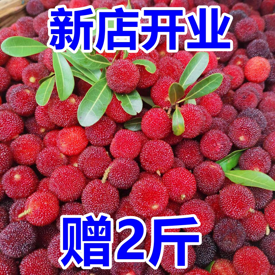 贵州新鲜孕妇水果红杨梅鲜果酸甜现摘非东魁土杨梅泡酒小杨梅整箱