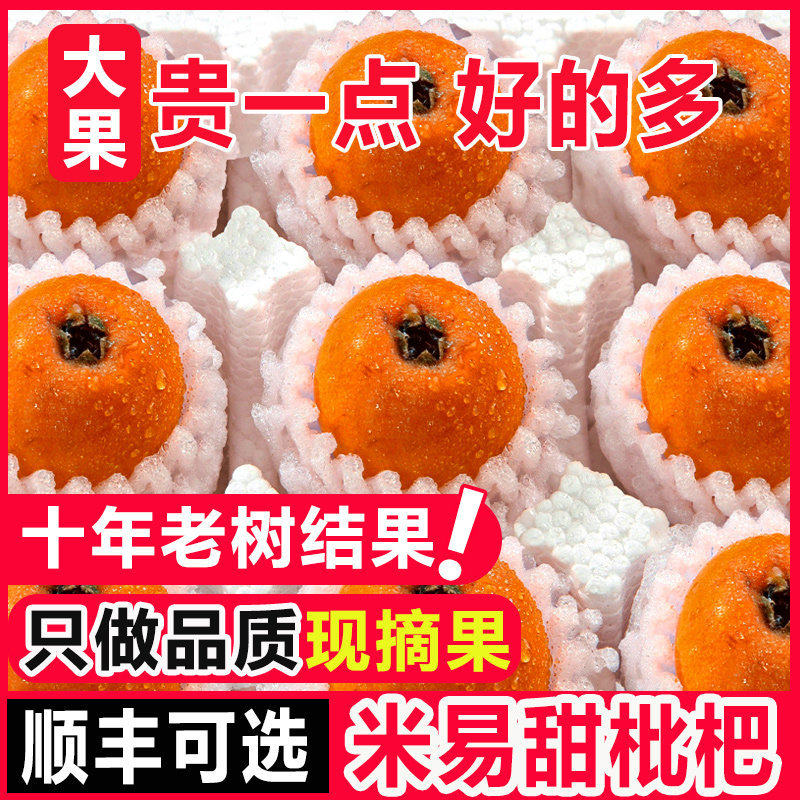 现货正宗四川攀枝花米易枇杷当季孕妇水果大五星琵琶大果整箱包邮