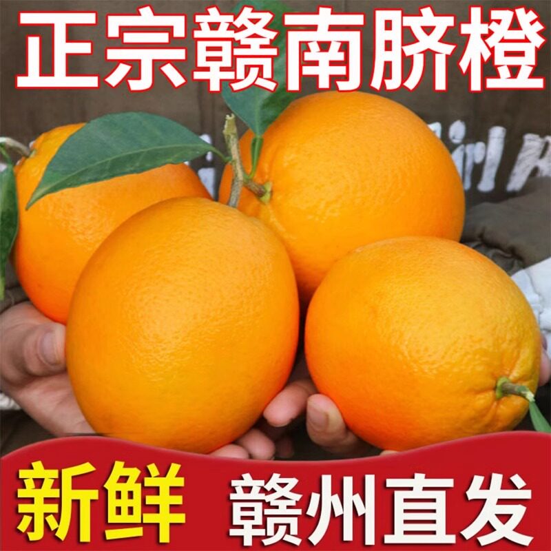 江西赣南脐橙赣州安远脐橙店旗舰新鲜现摘甑选特级橙子原产地直销
