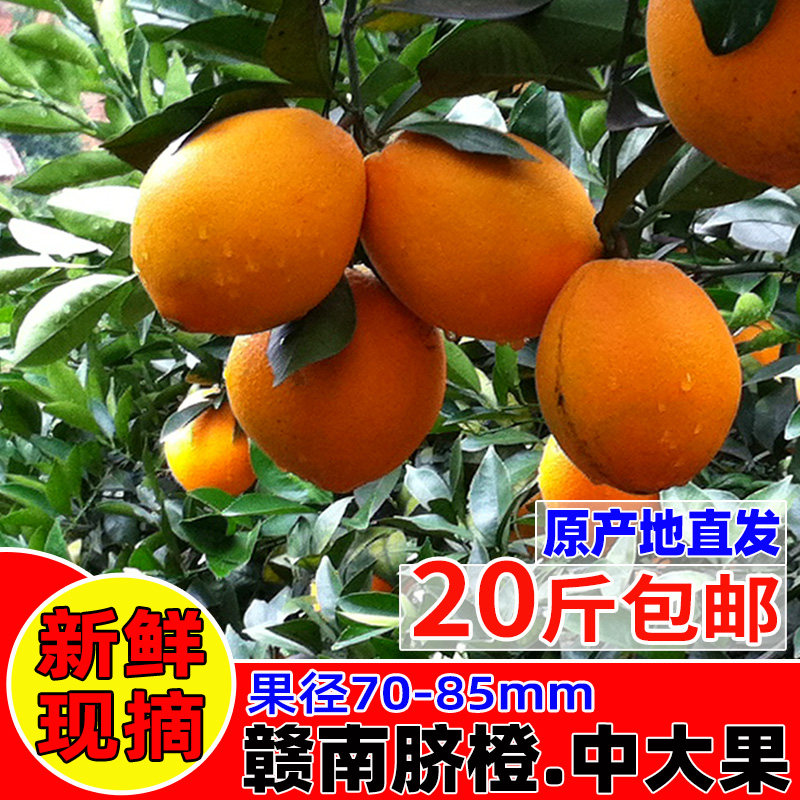正宗江西赣南脐橙20斤赣州寻乌甜橙子当季新鲜孕妇水果手剥橙包邮