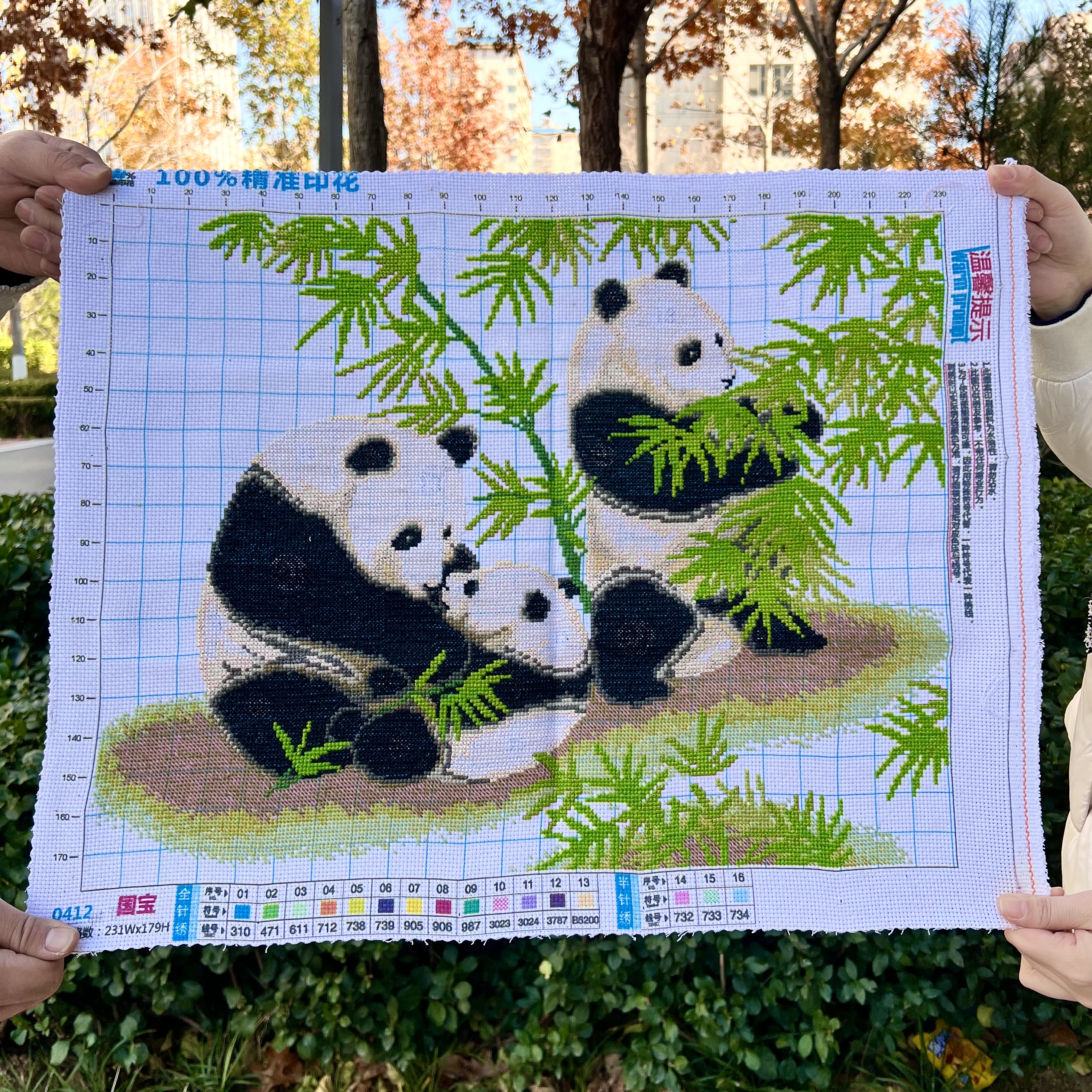 纯手工绣好的十字绣成品新款国宝熊猫团团圆圆可爱动物客厅装饰画