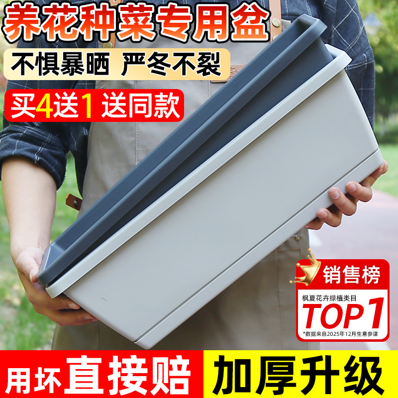 种菜神器家庭阳台种菜盆蔬菜长方形花盆塑料长条盆草莓盆栽种植盆