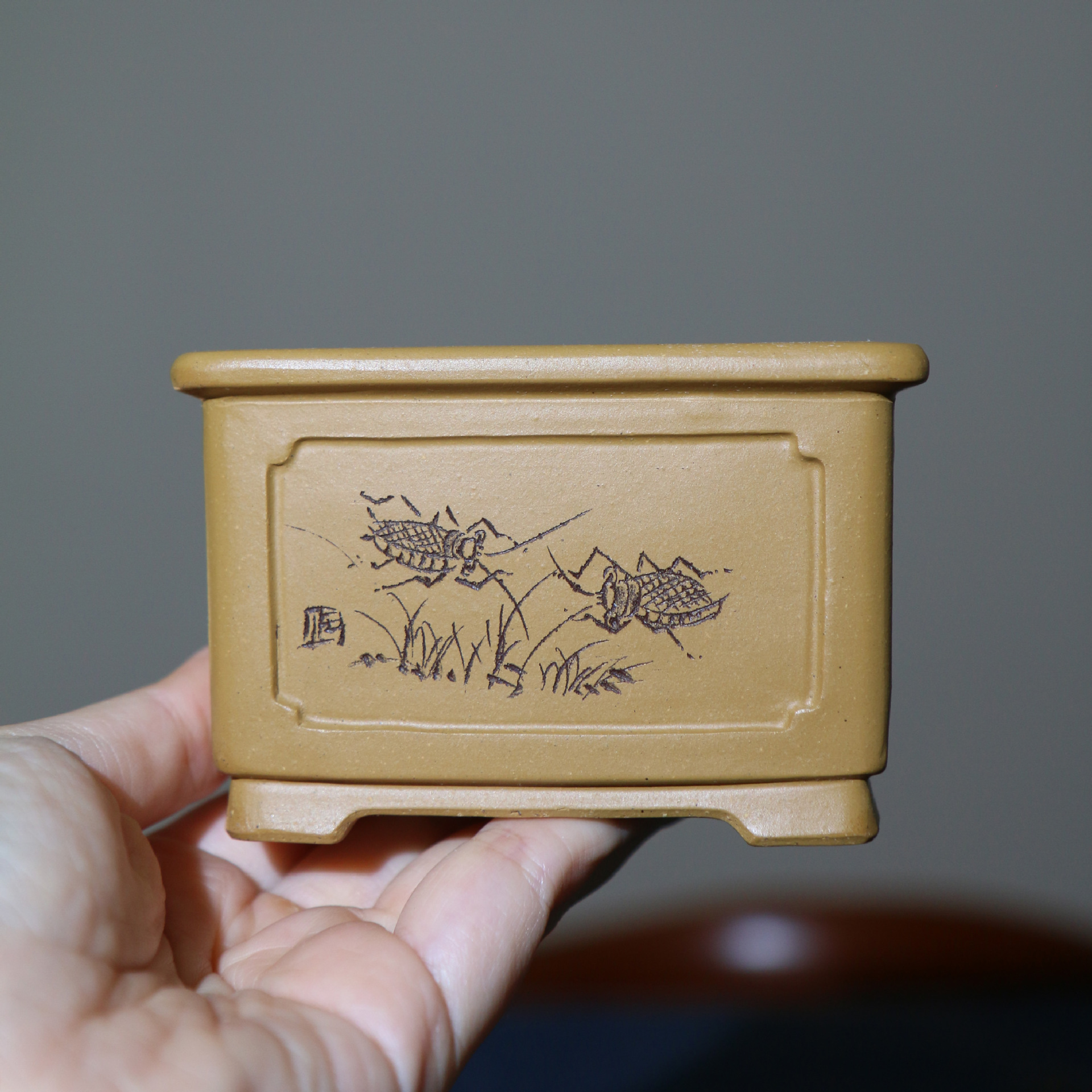 宜兴紫砂花盆手工盆景盆正方形禅意微型盆掌上盆栽苏玲蛐蛐闲趣