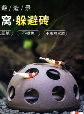 水尚良品虾窝躲避繁殖精工细作