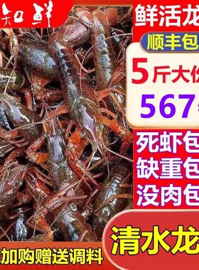 鲜活小龙虾567钱5斤江苏盱眙非青虾红虾淡水虾清水虾活虾旗舰店