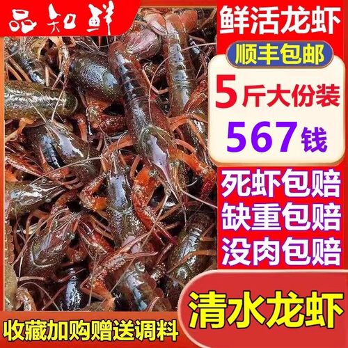 鲜活小龙虾567钱5斤江苏盱眙非青虾红虾淡水虾清水虾活虾旗舰店