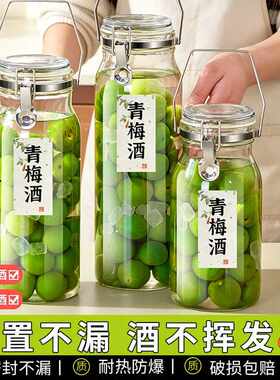 德国进口升级耐热玻璃泡酒瓶专用自酿梅子果酒瓶分装酒坛子密封罐