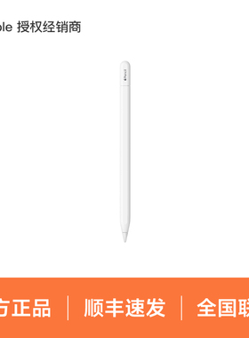 Apple/苹果 Apple Pencil (USB-C) 磁吸触控笔手写笔适用于新 iPad mini/Pro (M4)/Air (M2)/iPad 10