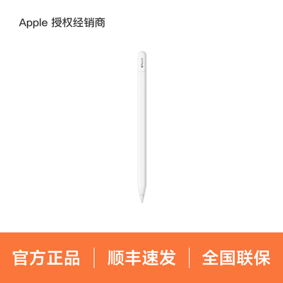 Apple/苹果 Apple Pencil (USB-C) 磁吸触控笔手写笔适用于新 iPad mini/Pro (M4)/Air (M2)/iPad 10