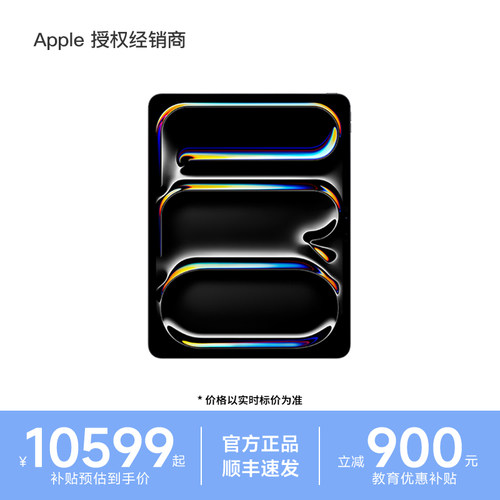 Apple/苹果iPadPro13英寸