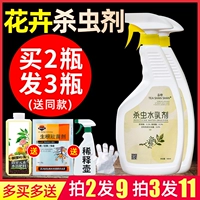 Убийство Цзе Гуаньчхи Дюхан Дюхан насекомых Многосон, сера о тля