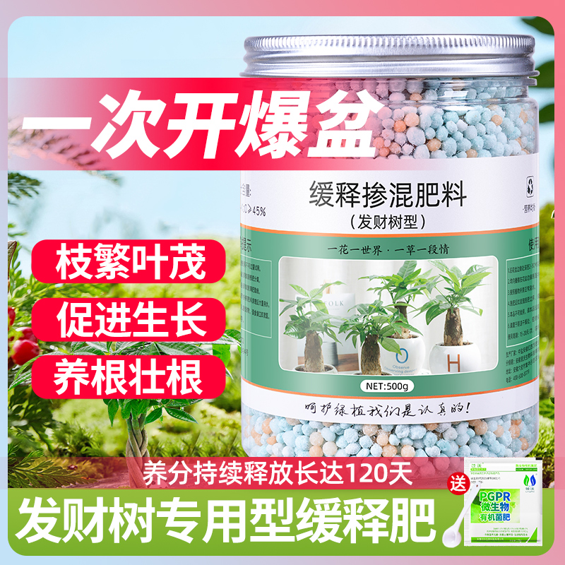 发财树盆栽家用氮磷花卉植物肥料