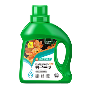 君子兰营养液肥料专用肥治黄叶治不开花花肥家庭园艺植物盆栽通用