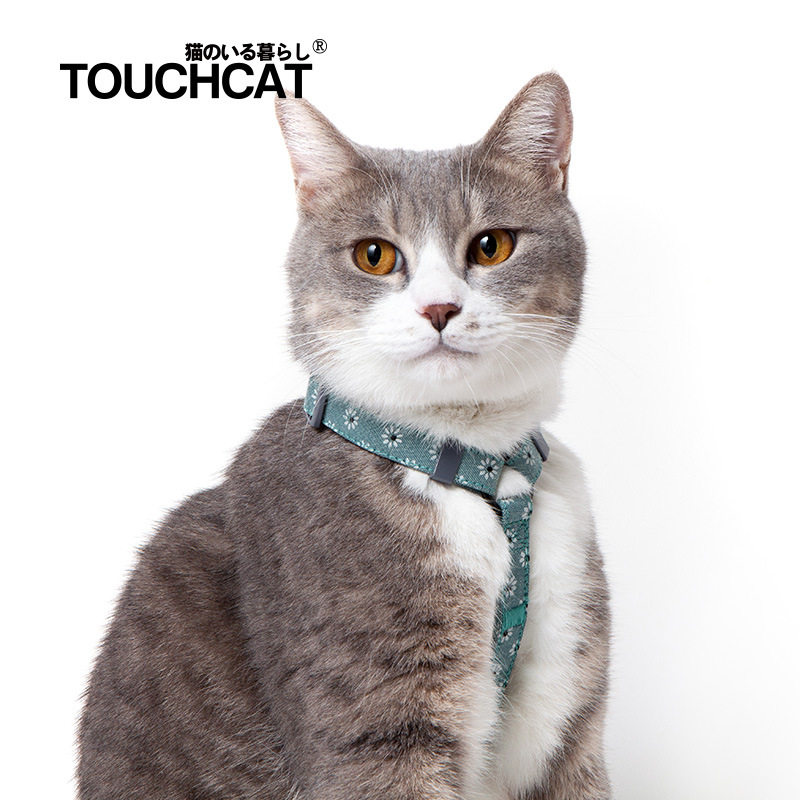 中国猫咪牵引推荐！2019新款touchcat它它猫牵引绳猫胸背防挣脱溜在类目 宠物/宠物食品及用品, 猫/狗日用品, 家用牵引带中 - 来自Buy2taobao.com提供专业的淘宝代购服务