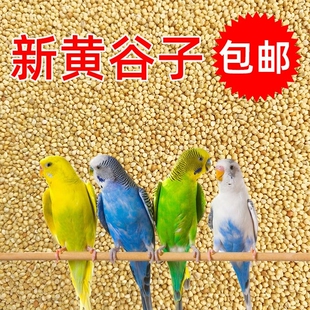 小鸟吃的小米杂粮喂鸟鸽子五谷杂粮吃的谷子食饲料幼鸟食饲料鹦鹉