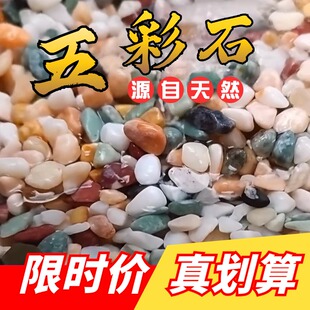 天然雨花石养花五色石专用石子花盆多肉铺面石鱼缸造景底砂五彩石