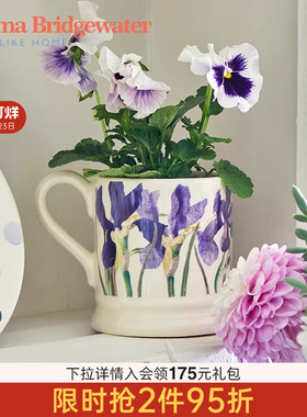 Emma Bridgewater鸢尾蓝马克杯子陶瓷家用咖啡杯餐具餐盘新婚礼物