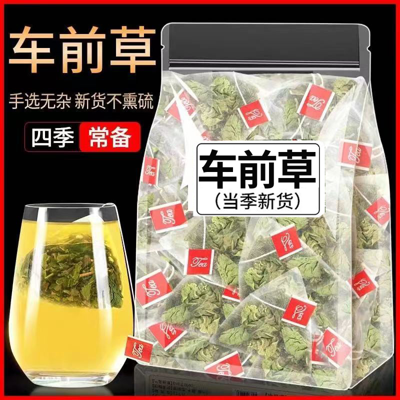 车前草泡茶独立三角包