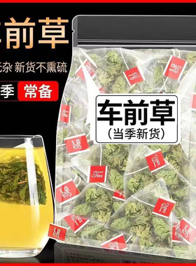 车前草泡茶泡水喝车前草干货车前草中药材茶包新鲜整棵正品茶包