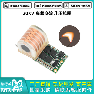 高频交流升压线圈高压点火模块DC9 12V转AC20KV可拉弧十分钟70W