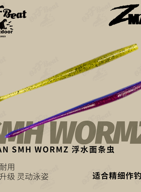 ZMAN shaky Head WORMZ面条虫摇头精细6.5英寸鲈鱼鳜鱼路亚软饵