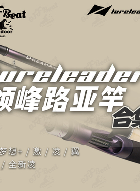 24款领峰凌梦想家+路亚竿激凌翼念溪远投鳜鲈鱼快调杆直枪柄竿